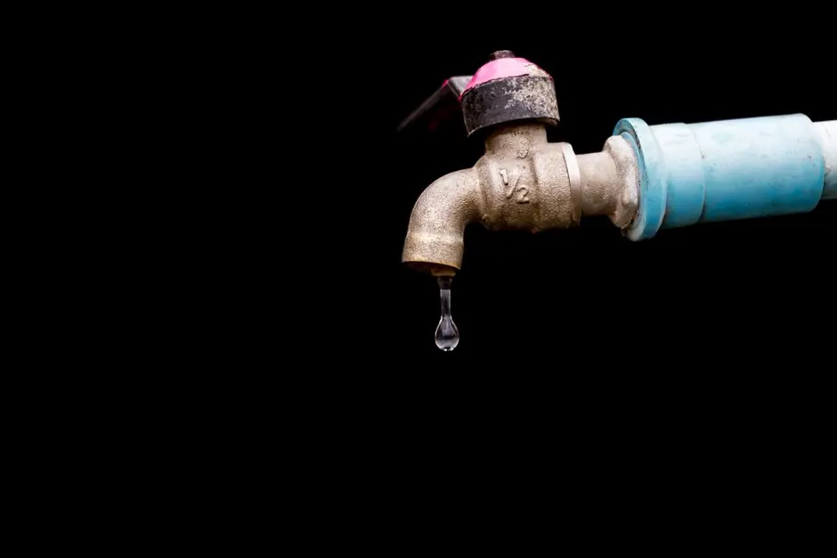 Water Leak Detection Rogers technicians