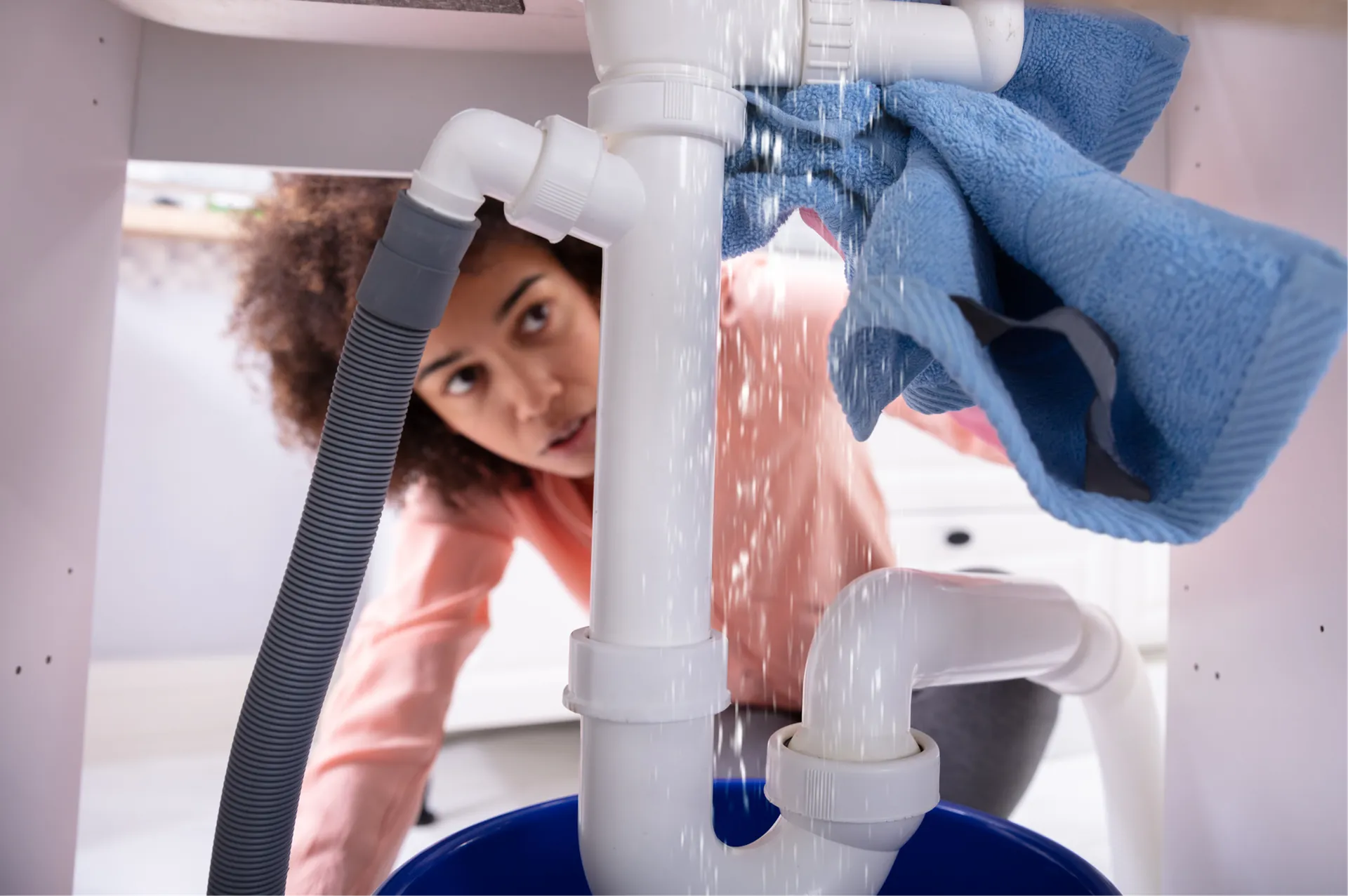 Water Leak Detection Rogers team