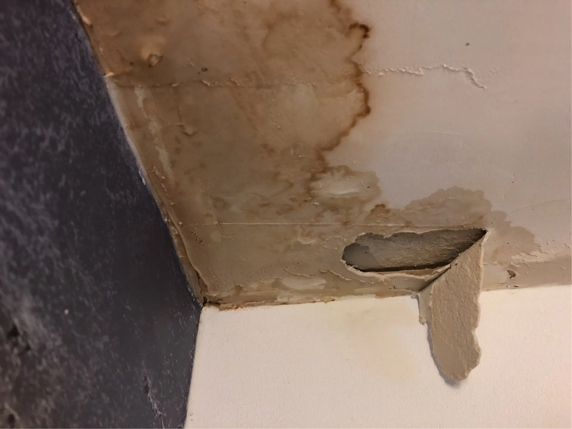 roger ar slab leak detection service