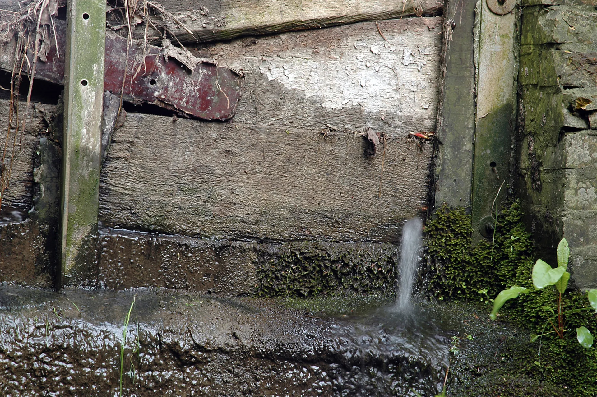 foundation leak detection service in rogers